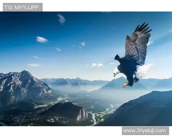 付豪的成长之路与奋斗故事探寻人生的意义与价值