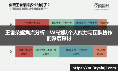 王者荣耀焦点分析：WE战队个人能力与团队协作的深度探讨